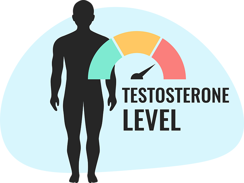 Optimize your testosterone level