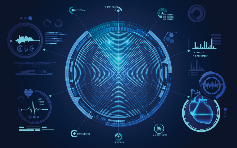 Biometric representation of lungs and cardiovascular system