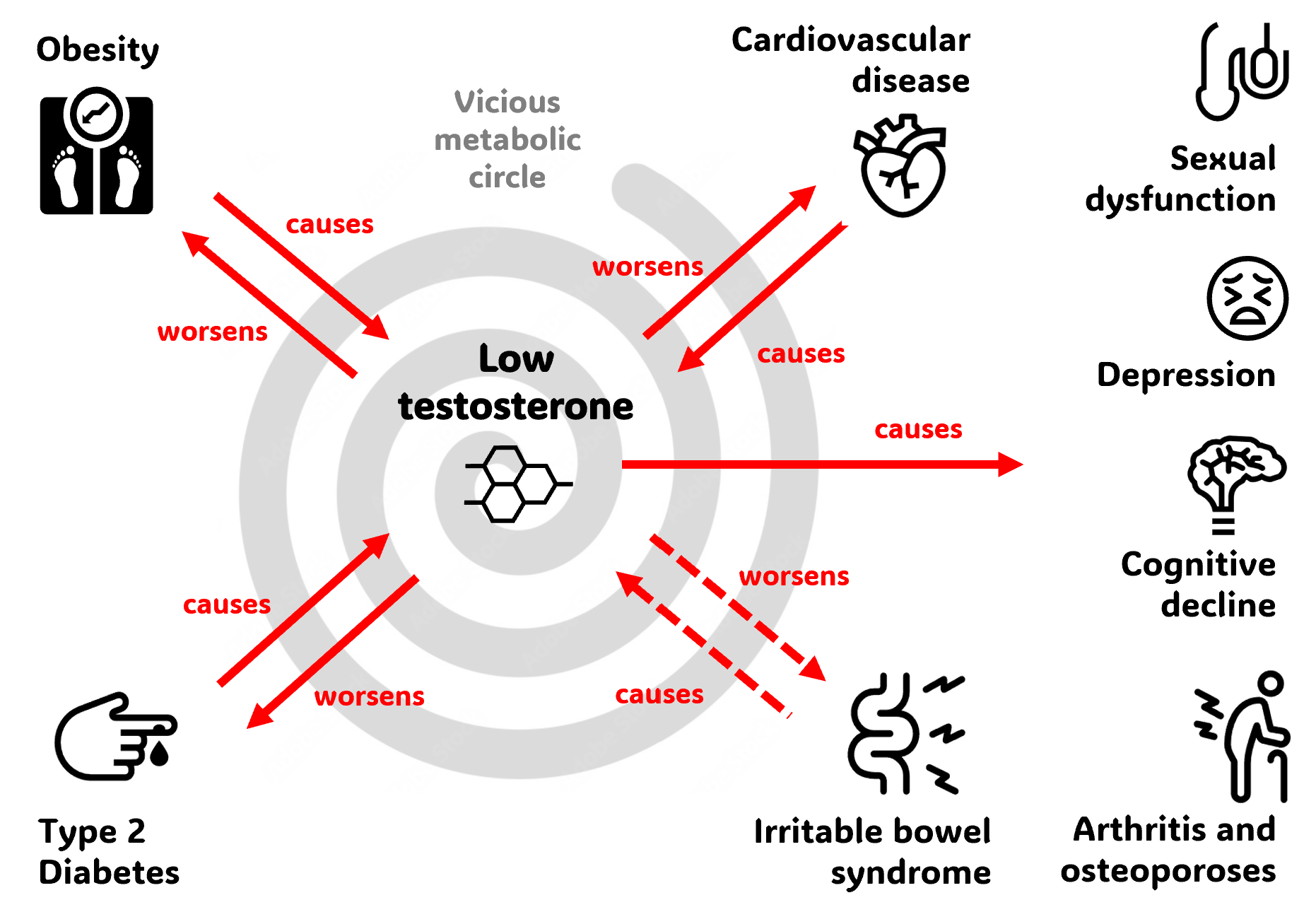 Low testosterone both causes health problems and is caused by health problems, this image explians the mechanisms